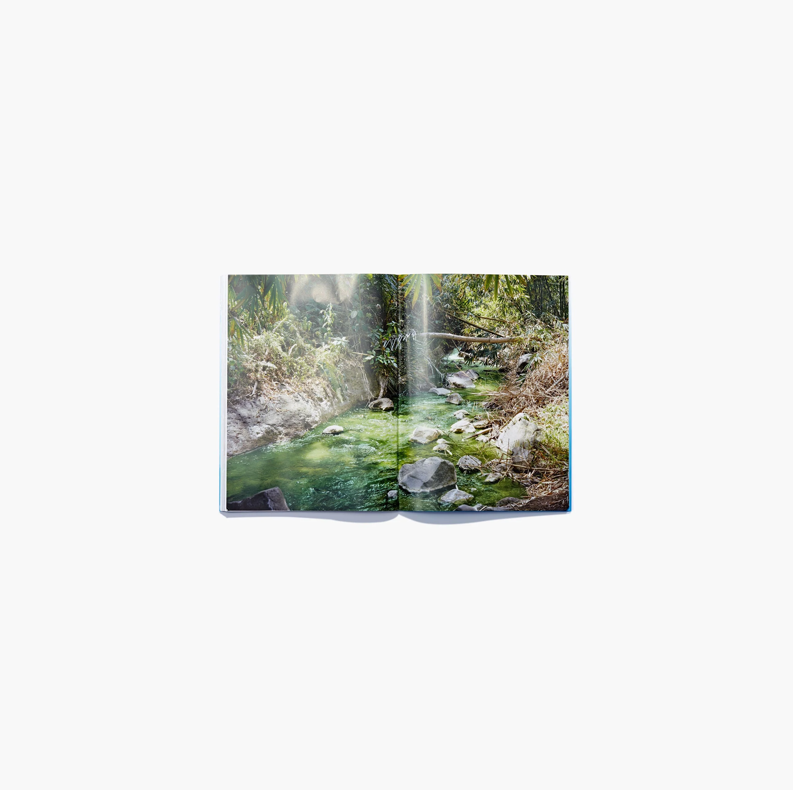N°14 - Charles Negre & Thomas Rousset - Image 5