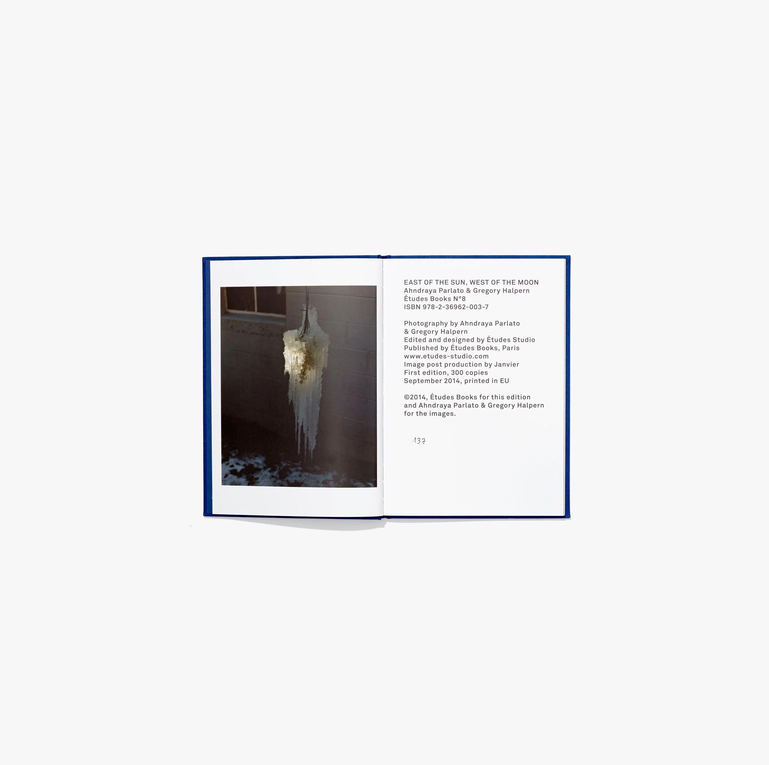 N°8 - Ahndraya Parlato & Gregory Halpern - Image 5