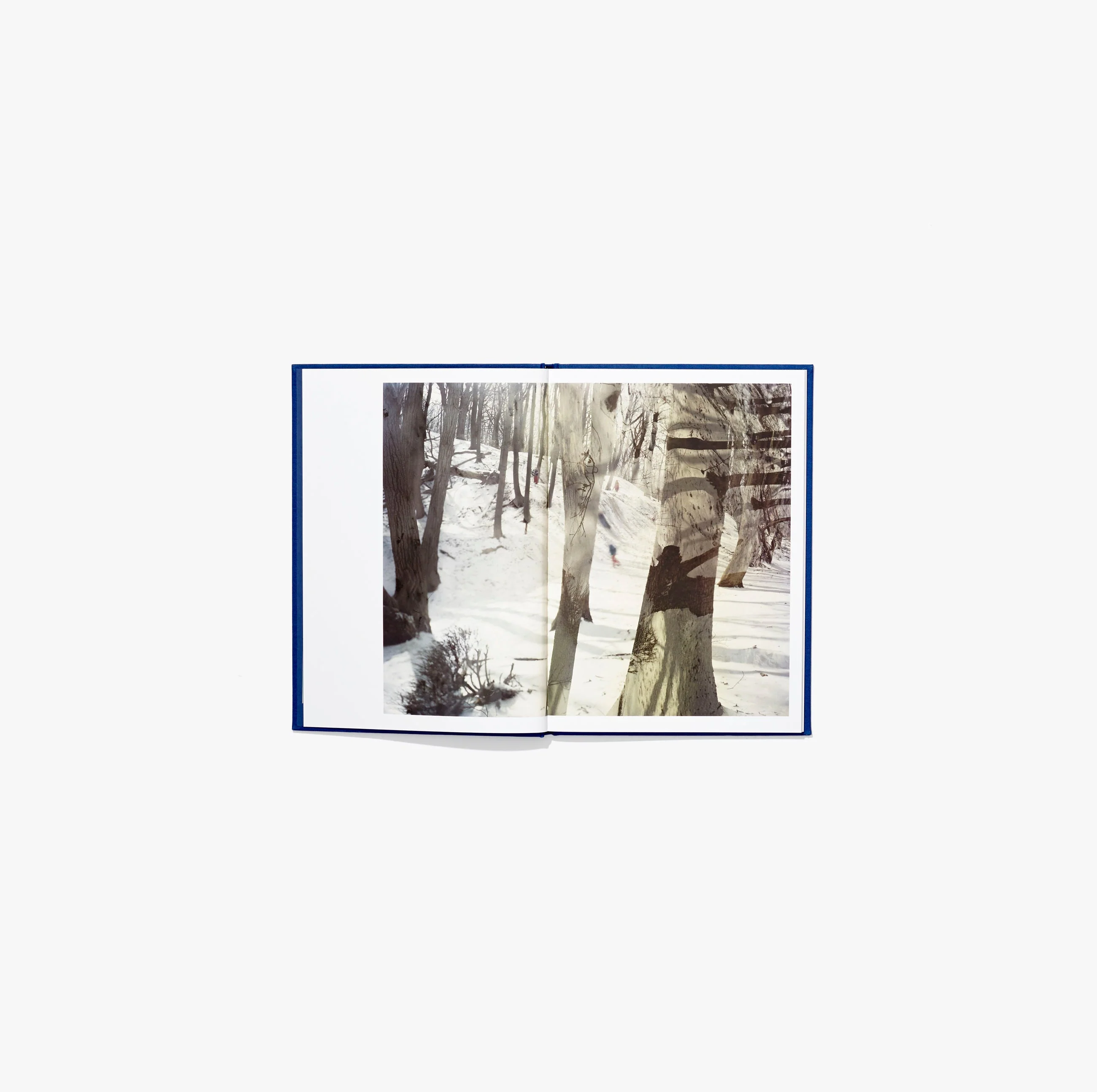 N°8 - Ahndraya Parlato & Gregory Halpern - Image 6
