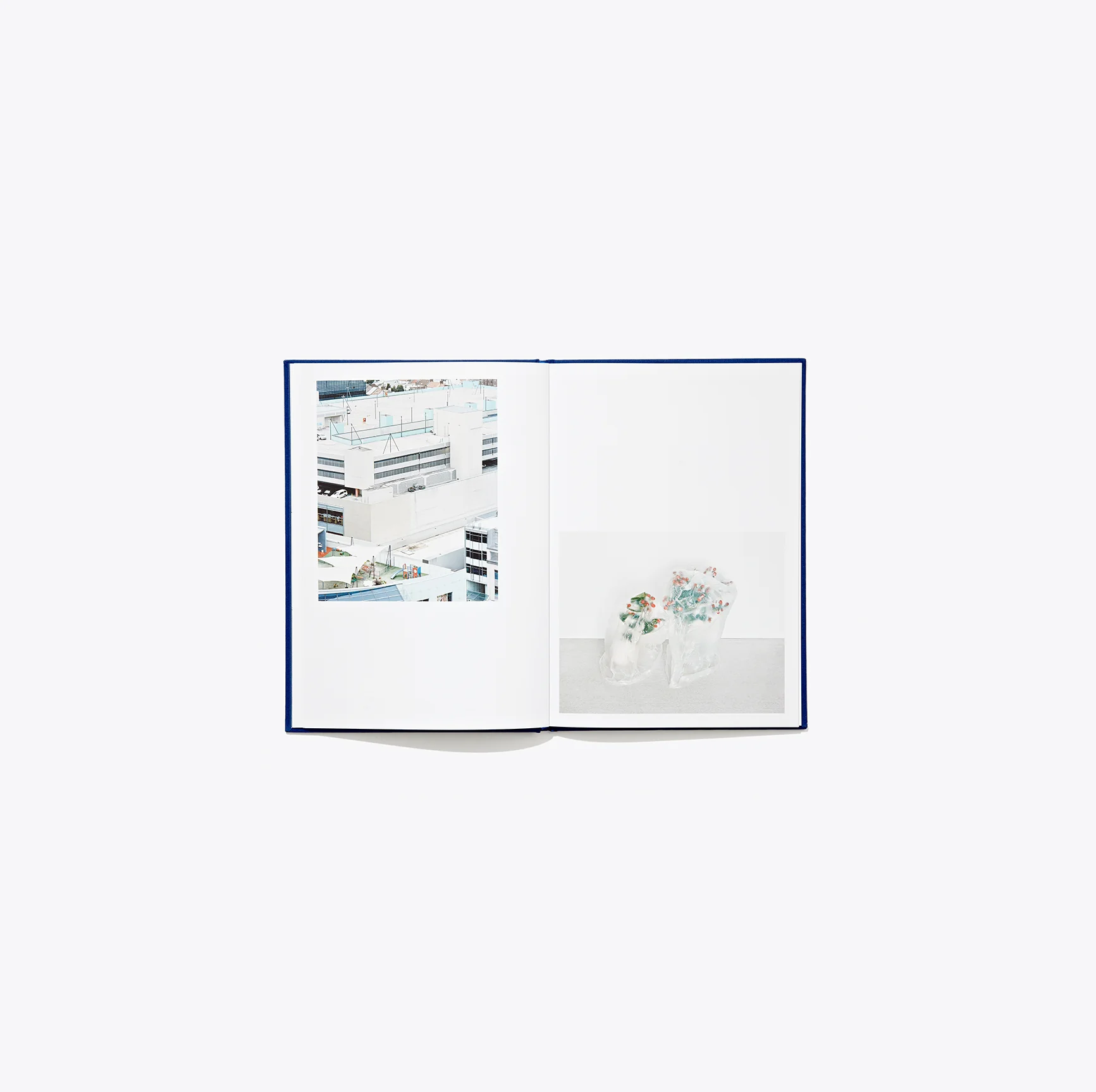 N°1 - Daniel Everett - Image 6