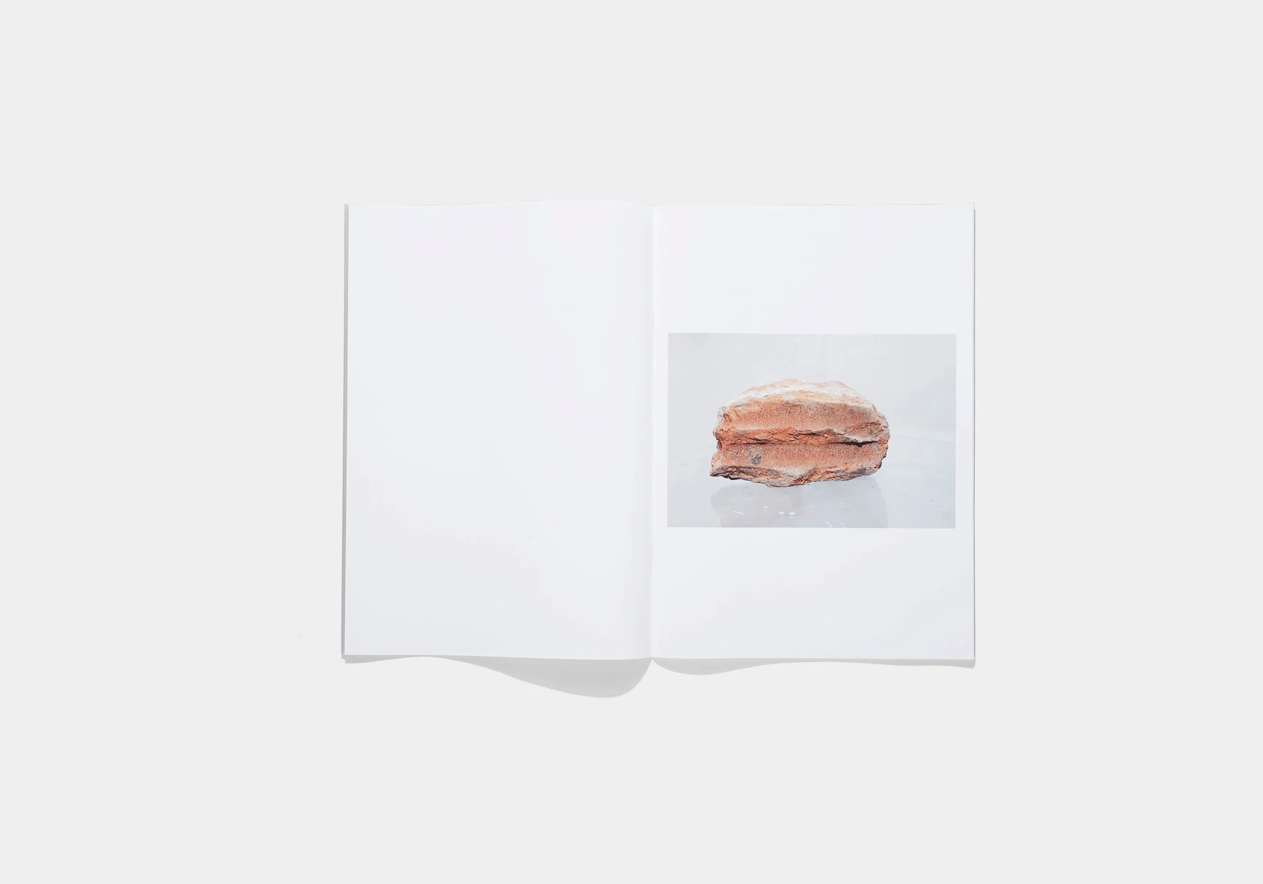 N°16 - Andrzej Steinbach - Image 6