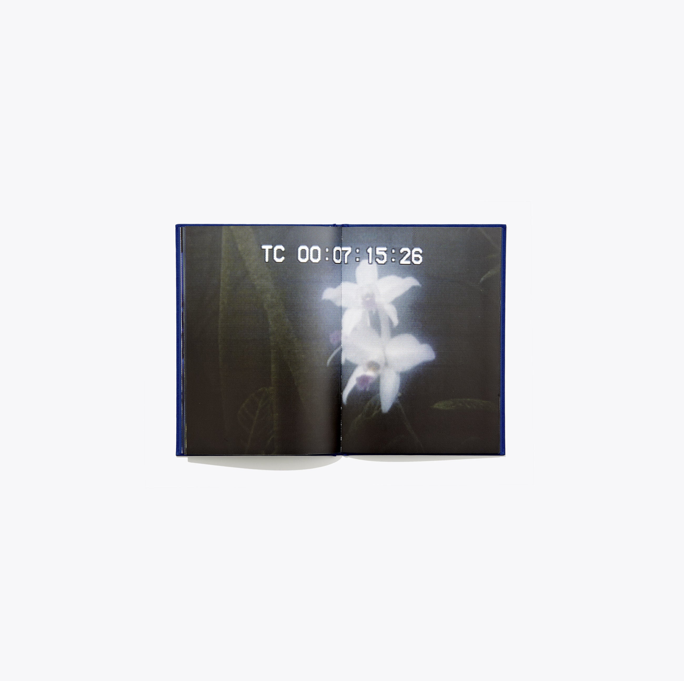 N°5 - Colin Snapp - Image 8